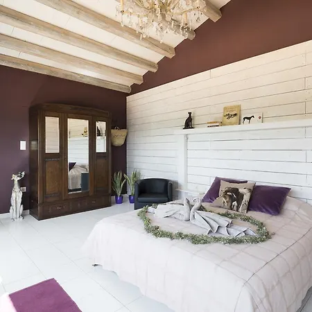 Bed and breakfast Can Patiras *